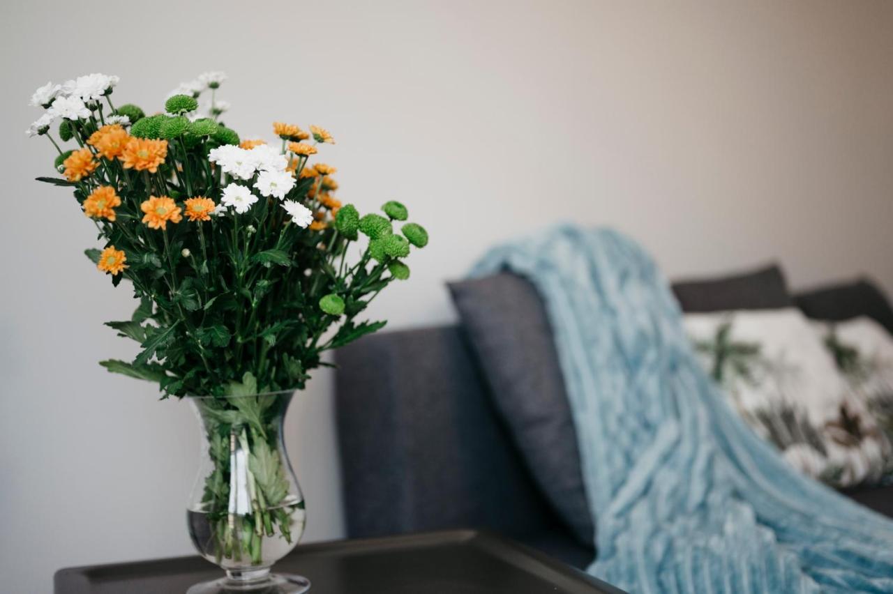 Nocosfera Apartament Serbinow Kalisz  Bagian luar foto